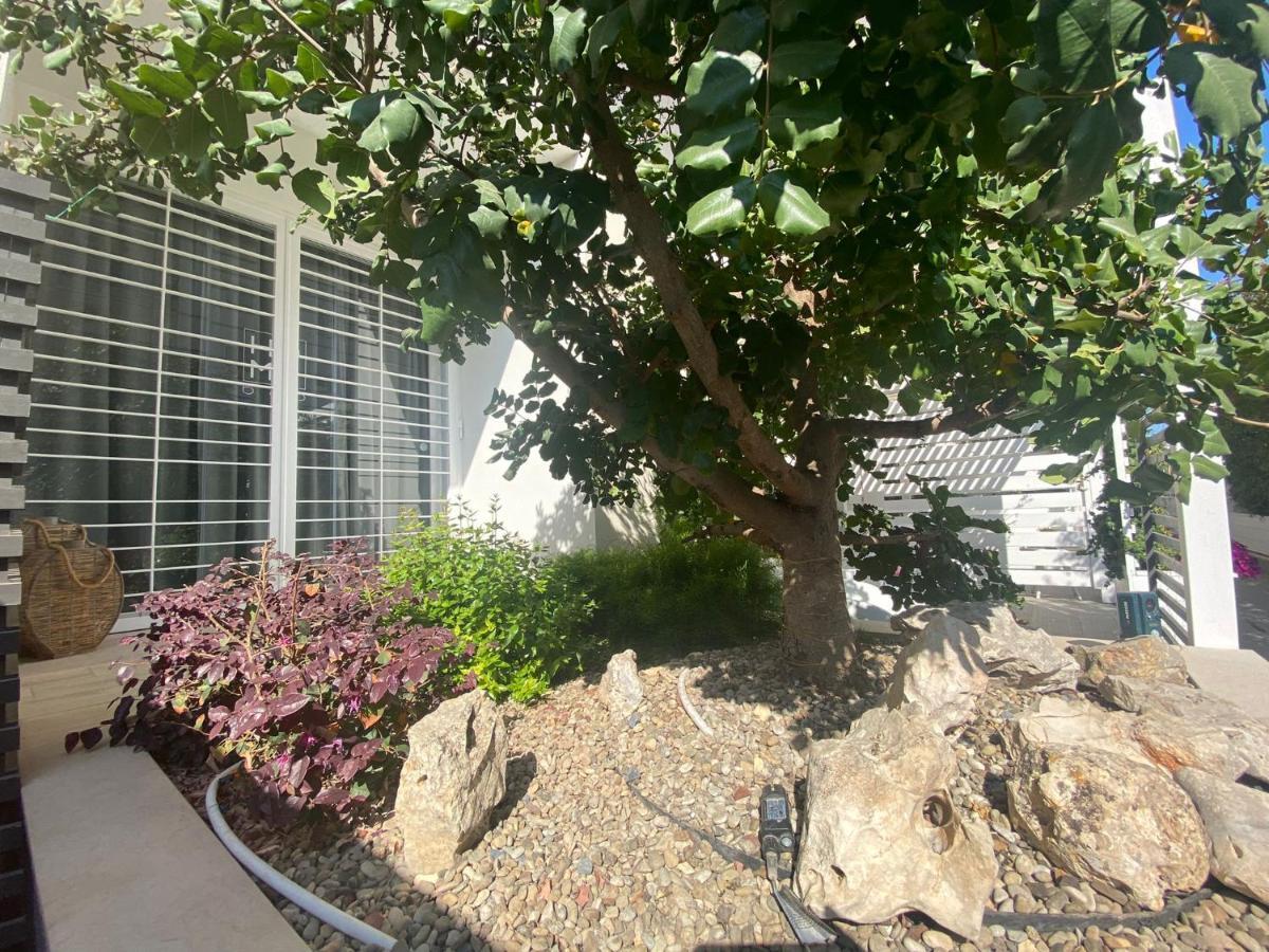 Home3 Bed Superior Room Bisceglie Dış mekan fotoğraf